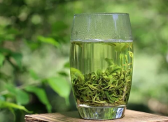 绿茶（黄山毛峰）- 288元/壶